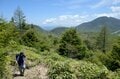 【首都圏近郊】連休明けから初夏に狙いたい植物の宝庫「新緑と花々が萌える日帰りハイキングルート」＜湯ノ丸山＞の画像017