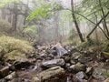 標高1,500m源流域でのテンカラ釣り！  細い流れから次々飛び出す天然イワナ！  ラスト「尺超え」が釣れた意外なポイントとは！？の画像002