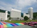 【苗場プリンスホテル】初夏の苗場で山からの贅沢な贈り物「根曲がり竹」を採ってきた！  竹藪の中を分け入る「非日常体験」レポ（新潟県湯沢町）の画像002