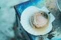 「今年は流氷の当たり年！？」日本屈指の絶景「冬のオホーツク海」での極寒キャンプレポート＜後編＞【絶景キャンプ場ガイド-言葉を失うほどの風景に会いに行こう- vol.29】の画像005