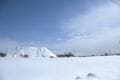 除雪あとの「巨大な雪壁」の行く末とは！？  知られざる「排雪現場」驚異の大型トラック「世界No.1“キワ攻め”テク」実見＆意外なプロセス「翌7月まで」 札幌市・雪堆積場インタビューの画像010