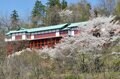 【春の信州でお花見散策】朱塗りの柱が目を引く空中楼閣！  圧巻の懸崖造り 難読「鼻顔稲荷神社」は桜の名所！  長野県佐久市・2024年の画像001