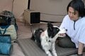 【10分で初回ロット完売！】肌に届く風の“リアル涼感”と省電力に要注目！  老舗ブランド「コロナ」が挑むアンダー6万円の本格ポータブルクーラーの画像010