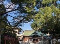 鶏がフリーダムに闊歩する神社「助松神社」のおみくじはやさしい友達の助言のようだった【関西おみくじジャーニー vol.28／大阪府泉大津市】の画像002