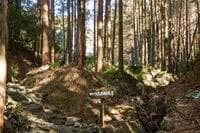 歴史を刻む峠道でハイキング！ 宇津谷峠に残る「蔦の細道」&「東海道」めぐる1時間！ 平安の歌碑、戦国の面影、明治レトロ建造物「現地レポ」