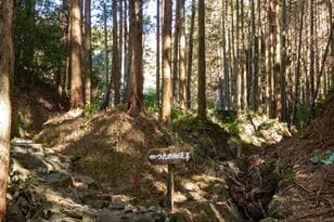 歴史を刻む峠道でハイキング！ 宇津谷峠に残る「蔦の細道」&「東海道」めぐる1時間！ 平安の歌碑、戦国の面影、明治レトロ建造物「現地レポ」