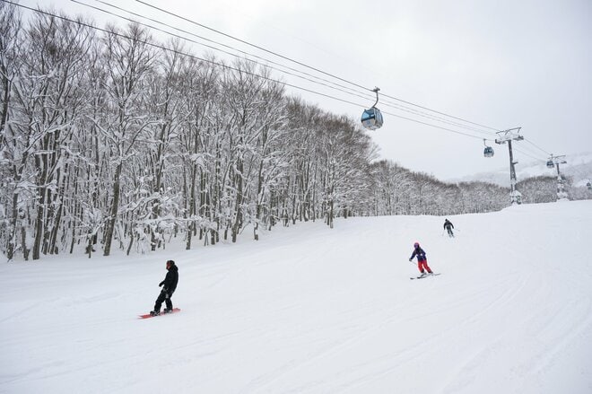 スキーもいいけど、青森行くなら観光も楽しまなきゃ！  冬でも “ねぶた” が間近で見られる「ねぶたの家 ワ・ラッセ」＆ 巨大彫刻 “あおもり犬” が鎮座する「青森県立美術館」の画像002