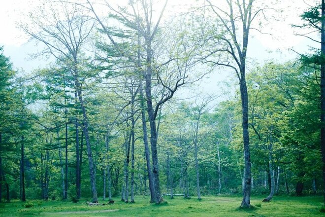 “5月こそ”がキャンプのベストシーズンなワケとは？『初夏が気持ちいい！  グリーンシーズンに最適なキャンプ場』3選【絶景キャンプ場ガイド-言葉を失うほどの風景に会いに行こう- vol.9】の画像004