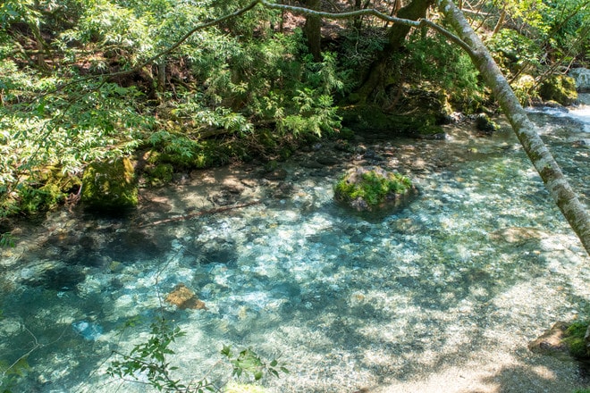 「本質的なサウナとはなにか？」 その問いから生まれたサウナ村の物語【ユーコンカワイのシン・サウナ村建設記 vol.14】の画像001