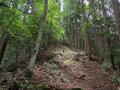 低山でも「360度パノラマ」絶景！  兵庫県丹波市「石金山」紅葉の名所「小新屋観音」から、清涼感あふれる「源流＆青もみじ」2時間ハイキングの画像005
