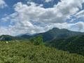 長丁場になりがちな「南アルプス」登山だけど、「三伏峠」なら日帰りでも十分に楽しめる！  片道約3時間・標高2,580mの大パノラマ「絶景レポ」の画像005