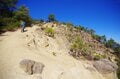 【2月は紀州で春を先取り】海と街を見下ろす「絶景の高尾山」が和歌山にある！【月めくりの低山カレンダー #02】の画像005