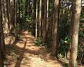 茶屋巡りと絶景！「初めての縦走登山」にすすめたい「日帰りの陣馬山～高尾山」絶景ルートの魅力とは?の画像001