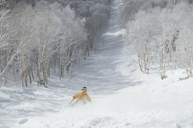 【志賀高原 焼額山スキー場】春スキーにおすすめ「この雪質、一度お試しあれ！」  誰もが “ワンランク上” の滑りができちゃう「極上ゲレンデ」とは、ここのこと！の画像013