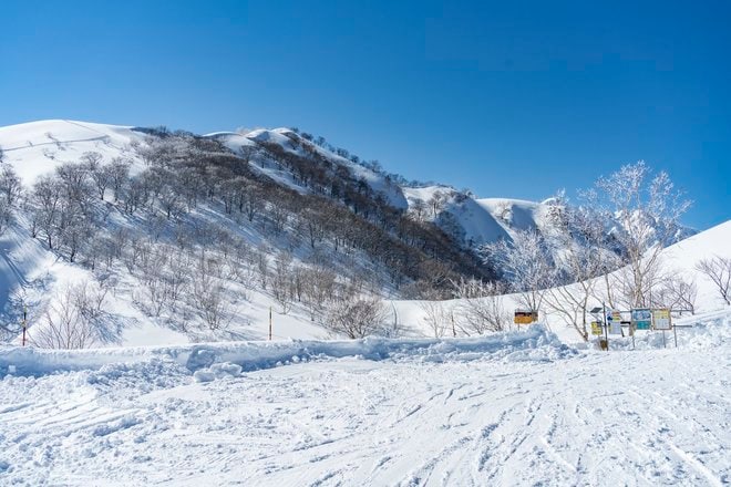 The DAY！ 遠見尾根バックカントリー滑走 〈白馬五竜〉の画像005