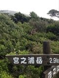 歩きごたえ＆幻想的な景観は「縄文杉」に並ぶ魅力！  九州最高峰「宮之浦岳」 大岩壁の山頂「モッチョム岳」 一度は登りたい「屋久島の山」レポの画像006
