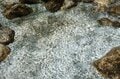 【首都圏近郊】まだ間に合うお花見登山「西丹沢・畦ヶ丸山」は桜だけじゃない欲張りプランを楽しめるんです！の画像006