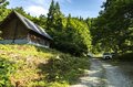 【最盛期】「緑の高原が一面の黄色いお花畑となる！ ニッコウキスゲの大群落」北東北・薬師岳／秋田・岩手 2022年の画像001