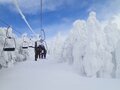 圧巻の光景、スノーモンスターと滑ろう！「蔵王ライザワールドスキー場」【山形県・2025年】の画像001