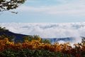 山歩きインスタグラマーhykemika-y「夏休みの宿題」登山で「絶景の雲海」・日帰り大天井岳 ＜長野県＞の画像001