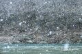 厳しい寒さ！ 雪降りしきる“真冬の犀川”で「本流トラウトフィッシング」・静寂の雪景色と釣り人の世界【2022年・冬】の画像004
