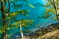 【手軽に出会える絶景】美しすぎる山上の湖・中禅寺湖！ 「新緑の湖畔をハイキングしてのんびり過ごすひととき」 歌ヶ浜から見るドラマチックな夕景！ 2022年・栃木県奥日光の画像009