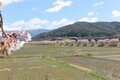 「開花ピーク直前！」高遠城址公園だけじゃない！ 南アルプスの麓のおすすめ桜スポット4選【長野県伊那市】の画像008