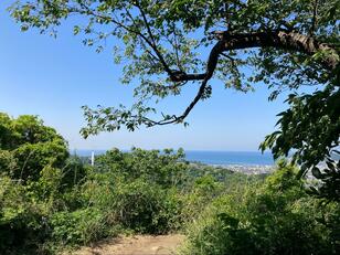 絶景＆絶品グルメ！ 鎌倉「観光で行けるアウトドア」！ 駅を7時20分出発・13時もどり「2食付き」衣張山ハイキングコースガイド