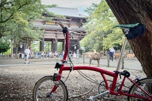 シカまたシカの寺町はミニベロ散策にぴったり！  クルマ＋ブロンプトンで行く古都・奈良の世界遺産【ゆる6輪の旅 vol.04 奈良「東大寺周辺」】