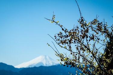 早春の “足ならし” に「高尾山＆小仏城山」ハイキング！ 澄んだ