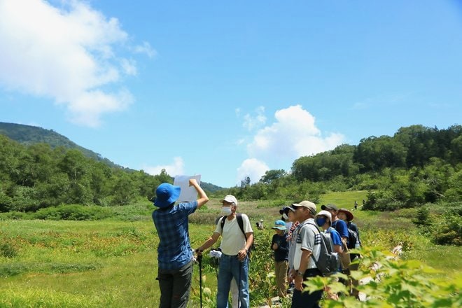 手軽にアクセス！  ファミリーで学べる北アルプスの「快適空間」＜長野県・栂池自然園＞の画像010
