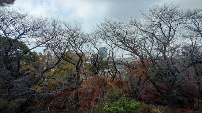 山手線内の“超”低山ハイキングは歴史＆面白ぎっしり！  東京23区内の最高と最低峰、日本最古の三角点、登山証明の発行も！  厳選3山「現地レポ」の画像010