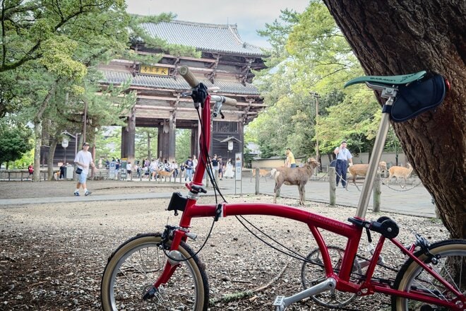 シカまたシカの寺町はミニベロ散策にぴったり！  クルマ＋ブロンプトンで行く古都・奈良の世界遺産【ゆる6輪の旅 vol.04 奈良「東大寺周辺」】の画像