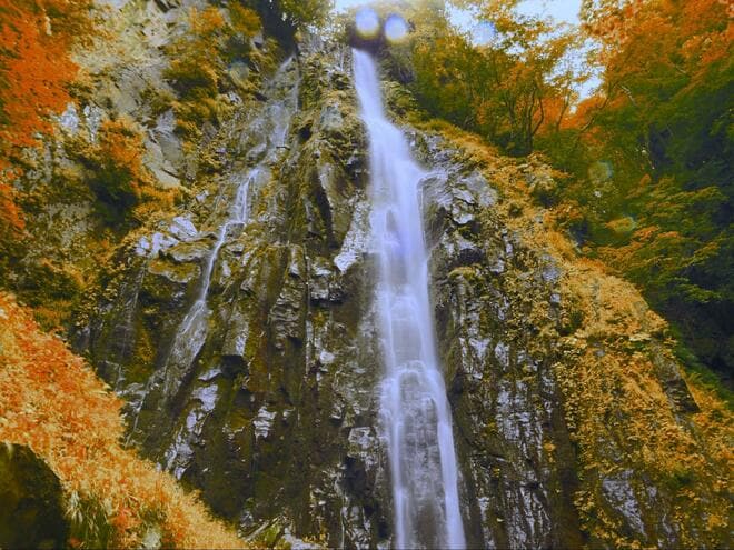 「日本の滝百選」にも選出「米子大瀑布」で紅葉絶景ハイキング！  落差80ｍ以上「2つの大滝」の迫力＆15年ぶり開通の名滝も「現地レポ」の画像005