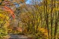 【松川渓谷】紅葉に彩られた赤い橋 “高井橋” から見る絶景！ 信州高山温泉郷・上信越国立公園 2022年の画像009