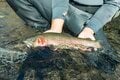 「10月に入ったけれど…… まだ渓流釣りができる自然河川」 秋の気配漂う静岡・芝川でフライフィッシング！ 美しいアマゴと銀ピカのニジマスに出会うの画像011