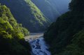 新緑の秘境「深南部」へ…純白「シロヤシオ」のトンネルを求めて【南アルプスの日々 vol.4】の画像004