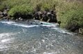 【川に潜むリスク】「川遊びでの事故」を防ぐために覚えておきたい“5つの危険”＜後編＞【ユーコンカワイの股旅リバログ vol.41】の画像004