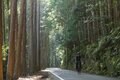 【関東近郊よりもよっぽど近い？】自転車旅のプロが「サイクリストの聖地」こと和歌山県田辺市の“ポテンシャル”を徹底検証してみた件の画像001