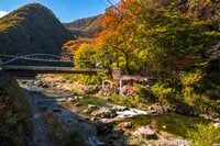 川治温泉へ！  紅葉色に染まる渓流「温泉に浸かり、“キャッチ＆リリースエリア” で大型ニジマスを狙う秋」【栃木県 2024年】