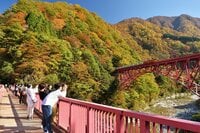 「黒部峡谷 トロッコ電車」 日本一険しい峡谷を車窓から満喫 手つかずの秘境の秋景色の中へ【紅葉フォトトレッキングガイド vol.7】富山県・黒部エリア