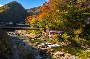 川治温泉へ！  紅葉色に染まる渓流「温泉に浸かり、“キャッチ＆リリースエリア” で大型ニジマスを狙う秋」【栃木県 2024年】