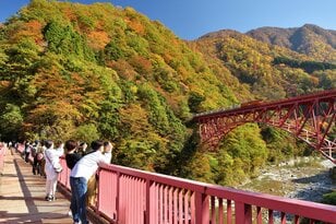「黒部峡谷 トロッコ電車」 日本一険しい峡谷を車窓から満喫 手つかずの秘境の秋景色の中へ【紅葉フォトトレッキングガイド vol.7】富山県・黒部エリア