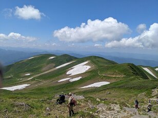 「百名山・月山＆姥ヶ岳」でマイベスト「ヒナザクラ」群生に出合う！ カラフル高山植物「お花道」トレッキングレポ