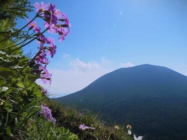 花と緑の「浅間山」 外輪山で人気「黒斑山」 6月のおすすめは「登頂前 花と緑の「浅間山」 外輪山で人気「黒斑山」 6月のおすすめは「登頂前