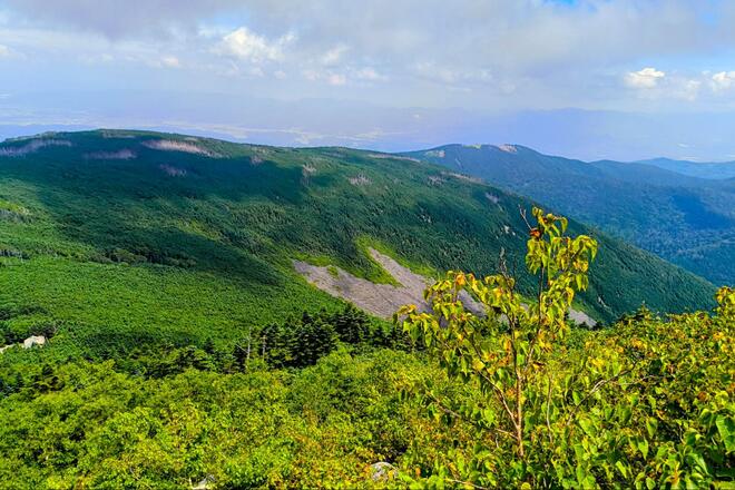 八ヶ岳北端にそびえる「蓼科山」 七合目から山頂往復ハイキング！  神聖な山で瑞々しい「苔」と大きな「岩」を堪能「日帰り登山レポ」の画像008