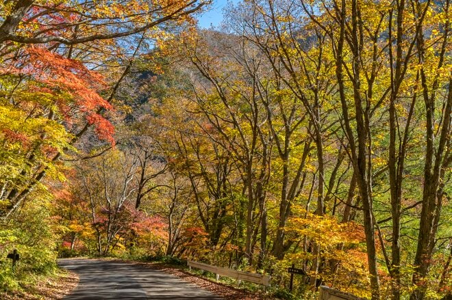 【松川渓谷】紅葉に彩られた赤い橋 “高井橋” から見る絶景！ 信州高山温泉郷・上信越国立公園 2022年の画像009