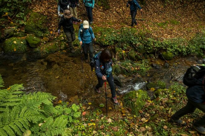 【登山】ピーク直前！ 紅葉人気の100名山、雨飾山「今年の彩りはいかに？」 長野県｜新潟県 2026年の画像003