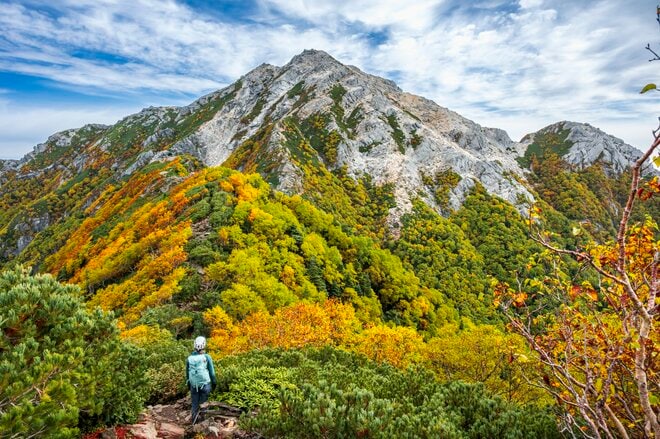 【登山】ここ数年で一番の美しさ「南アルプスの貴公子と女王の山岳紅葉」 日本の1-2-3位の高峰を望む  南アルプス・2025年の画像005