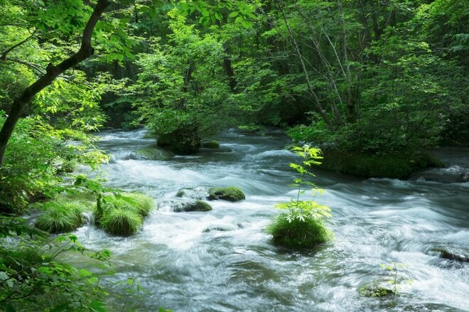 涼を求めて奥入瀬へ！ “サイクリングと渓流散策”  苔むす奥入瀬を五感で感じて癒される「奥入瀬渓流ホテル by 星野リゾート」【青森県・十和田市】の画像015